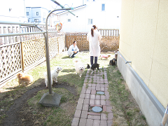 新メニュー写真