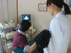 新メニュー写真