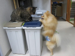 新メニュー写真