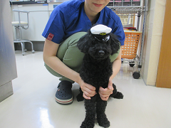 新メニュー写真