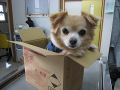 新メニュー写真