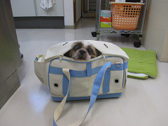 新メニュー写真