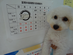新メニュー写真