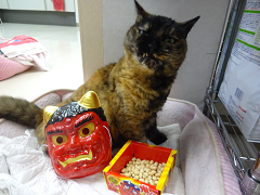 新メニュー写真