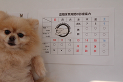 新メニュー写真