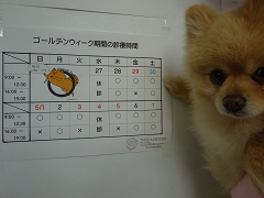 新メニュー写真