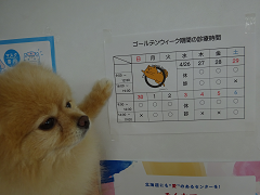 新メニュー写真