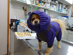 新メニュー写真