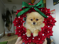 新メニュー写真
