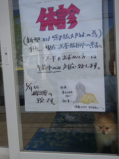 新メニュー写真