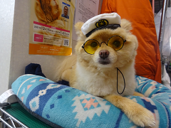 新メニュー写真