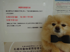 新メニュー写真
