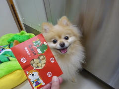新メニュー写真
