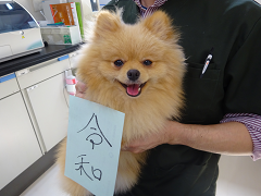 新メニュー写真