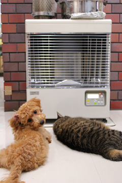 新メニュー写真