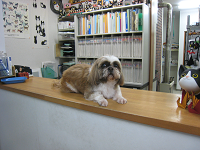 店主写真